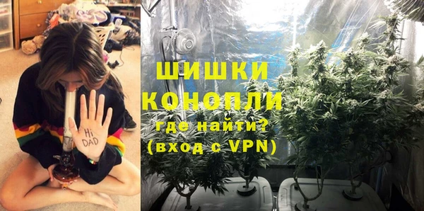 дурь Каменногорск