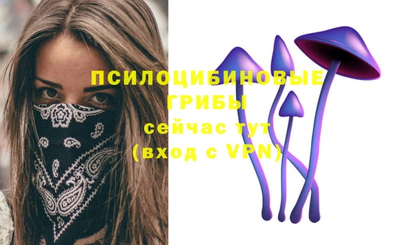 прущая мука Каменск-Шахтинский