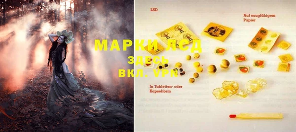 индика Нестеровская